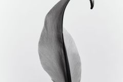 svart3